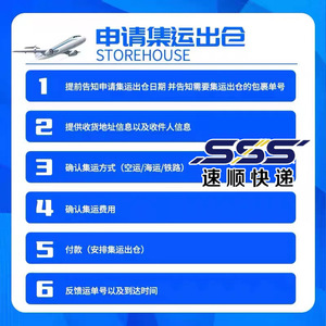 Servicio de Transporte Aéreo Internacional de Hangzhou Sushun a Moldavia, Mozambique, Namibia, Nicaragua, Níger - Product Image 4