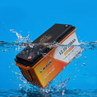 Batterie au lithium LiFePO4 12V à décharge profonde, 100Ah/200Ah, étanche IP65, garantie 10 ans pour voiture, cylindrique, entrepôt UE