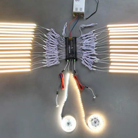 Contrôleur LED intelligent pour éclairage d'escalier avec capteur de positionnement, compatible application, pour système d'éclairage intérieur d'escalier DC12V/24V