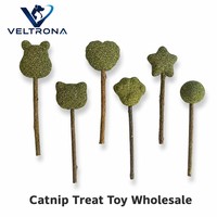 Bâtonnets de friandises à la catnip, 6 formes assorties, jouets à mâcher aux herbes, herbe verte compressée, bâtonnets en bois naturel