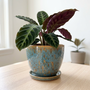 Pot de fleurs moderne en céramique émaillée avec soucoupe pour plantes d'intérieur, 10 pouces, motif bleu et rouille, style minimaliste - Product Image 1