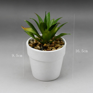 Mini-plantes succulentes en gros avec pot en céramique blanche, faux bonsaïs succulents assortis <span class=keywords><strong>pour</strong></span> la décoration intérieure, commande en gros disponible - Product Image 5