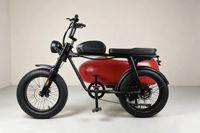 Bicicleta Eléctrica de 3 Ruedas con Neumáticos Anchos y Sidecar, Bicicleta Eléctrica con Asistencia al Pedaleo para Adultos, para Viajes con Pasajeros y Mascotas