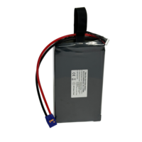 Batterie solide 420Wh/Kg 6S 22.2V 80000mAh 81000mAh Lipo QS8S pour drone de cartographie et de transport