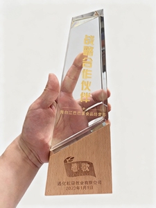 Nuovissimo trofeo bianco in legno con incisione in cristallo premio sublimazione <span class=keywords><strong>per</strong></span> cerimonia sport Meeting regali di benvenuto - Product Image 5