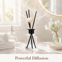 Diffuseur de roseaux à la menthe fraîche, parfum énergisant pour le bureau, la zone de travail, la concentration, huile essentielle naturelle, parfum d'ambiance pour la maison