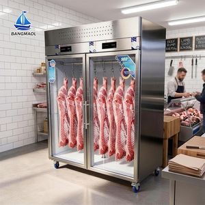Réfrigérateur commercial BANGMAOL à double porte vitrée pour viande, en acier inoxydable, avec crochets internes pour boucherie - Product Image 1