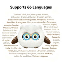 Bambola Interattiva AI Smart Doubao Owl Companion con 66 Lingue, Chat Vocale, Espressioni Oculari e WiFi - Giocattolo Intelligente