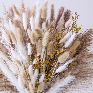 Hochwertige Kaninchen-Hafen-Schwanze Gras-Reiß-Blumenträger Liebenkraut natürliches getrocknetes Pampas-Grasstrauß Boho Heimdekoration