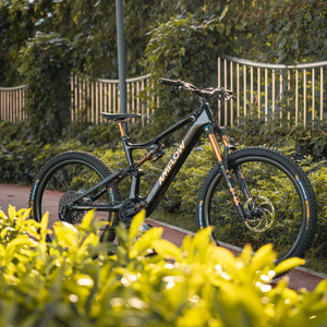 2025 Meilleure vente nouveau vélo de montagne électrique à suspension complète Cosmic Black Amflow Pl Carbon Pro - Product Image 1