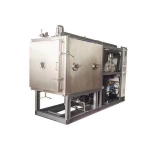 El liofilizador al vacío se utiliza para fresas y limones - Product Image 4