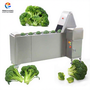 Machine à couper le brocoli FC-<span class=keywords><strong>XL</strong></span>-I, machine à couper la couronne de brocoli et de chou-fleur - Product Image 1