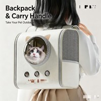 Sac à dos pliable et respirant pour chat, sac de transport pour animaux de compagnie, sac à bandoulière pour voyages en plein air, pour chats et petits animaux, à utiliser en sortie
