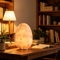 Lampe de table en albâtre naturel en forme d'œuf avec base en aluminium, lumière décorative LED chaude pour salon et chambre à coucher