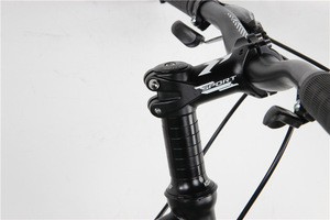 Bicicleta de Montaña de 20 Pulgadas con Portaequipajes Trasero Integrado, Neumáticos Anchos, Cuadro de Acero al Carbono, Horquilla con Resorte, Frenos de Disco Dobles, Capacidad de Carga de 150 kg - Product Image 6