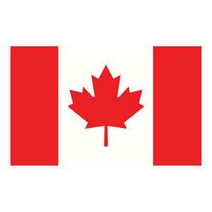 Cina <span class=keywords><strong>to</strong></span> <span class=keywords><strong>Canada</strong></span> agente di trasporto merci via mare lcl express porta a porta DDP servizi di logistica di consegna prodotti dropshipping - Product Image 1