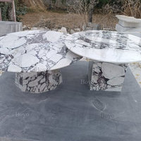 Ensemble de 2 tables basses rondes modernes en marbre Calacatta Viola pour salon