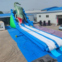 Toboggans gonflables géants pour adultes, toboggans pour enfants, toboggans pour parc aquatique, toboggans gonflables en forme de requin