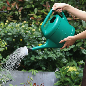 Vaso <span class=keywords><strong>spray</strong></span> di grande capacità balcone piantare verdure vaso doccia a <span class=keywords><strong>bocca</strong></span> lunga irrigazione fiori e verdure - Product Image 2