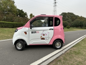 LIANGJI Mini <span class=keywords><strong>furgoneta</strong></span> eléctrica de 4 <span class=keywords><strong>plazas</strong></span> para adultos, coche de dos puertas con asientos de cuero y batería trasera, <span class=keywords><strong>precio</strong></span> barato, vehículo de nueva energía - Product Image 5
