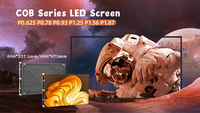 Panel LED RAYBO P0.6 P0.78 P0.9 P1.25 P1.56 P1.9 COB de Paso Fino 4K, Pantalla LED para Fondo de Escenario, Pantalla LED para Interiores, Video Wall LED