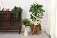 Beauté artistique pot de fleurs de boue de magnésium salon centre commercial intérieur et extérieur sol au plafond plantes vertes plantes en pot