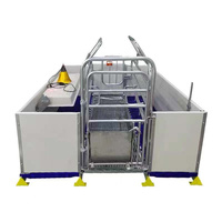 Cage de maternité pour porcs de qualité supérieure, galvanisée à chaud, pour élevage porcin