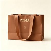 Bolsa de Papel de Regalo de Lujo Personalizada con su Propio Logotipo, Bolsas de Papel Negro con Asas para Empacar Ropa