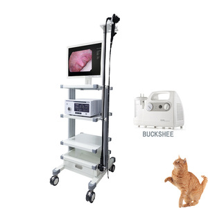 Sistema de Endoscopio Gastrointestinal Electrónico Newma Pet 5357 para Uso Médico Veterinario con Certificación CE - Product Image 1