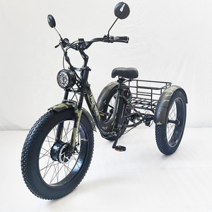 China Family 48V Triciclo eléctrico de <span class=keywords><strong>3</strong></span> ruedas Movilidad 20 pulgadas Adulto <span class=keywords><strong>3</strong></span> ruedas Neumático gordo Triciclos eléctricos Triciclo para transporte - Product Image 2