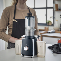 Extracteur de jus lent multifonctionnel à mastication électrique 300W 500mL, faible bruit, pour fruits et légumes, avec fonction automatique de retrait de la pulpe