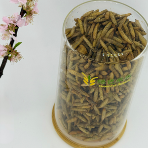 Larves de Mouches Soldat Noires Séchées 100% Naturelles Riches en Calcium pour Nourrir les Oiseaux, les Poissons et les Hamsters – Protéines d'Insectes et Vers Séchés - Product Image 4