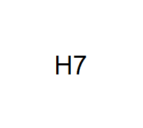 H7