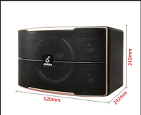 Haut-parleurs de karaoké PH-10 bidirectionnels 10 pouces 200W pour utilisation KTV/Party DJ-Système de haut-parleurs sans fil