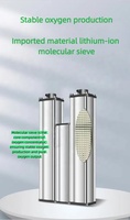 Générateur d'oxygène dissous à nano-bulles industrielles, pression de sortie personnalisée, concentrateur d'oxygène PSA 10L/min pour l'hydroponie