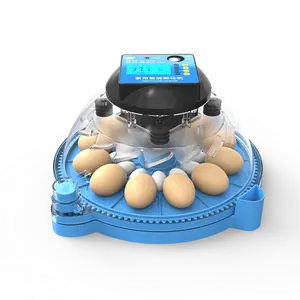 Incubadora de ovos popular china, comprar ovos de galinha incubadora mini incubadora para chicote