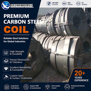 Forming Shot Blasted Hot Rolled 100mm 2500mm Slitting EN 10025 Carbon Steel Coil for Steel Structure - Product Image 1