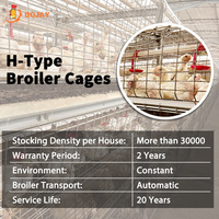 Cages d'élevage de poulets de chair de type H pour garder les poules pondeuses