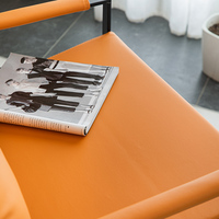 Fauteuil simple moderne et élégant en métal, idéal pour salon, bureau, hôtel ou réception.