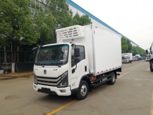 Camion <span class=keywords><strong>frigorifique</strong></span> électrique hybride Geely 4x2 pour le transport alimentaire - Camion congélateur - Prix usine - Product Image 3