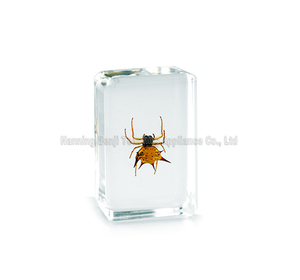 Sciarapone a braccio lungo ecologico in resina, artigianato in vero resina epossidica, campione animale per regali - Product Image 4