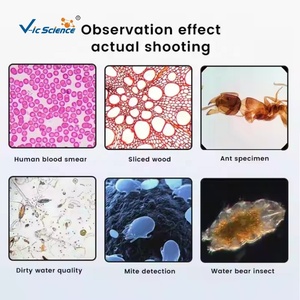 デジタル顕微鏡高倍率顕微鏡XSZ-136E双眼四重多目的生物顕微鏡 - Product Image 3