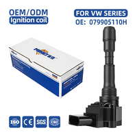 MIKEY 079905110H Engine Ignition Coil for Volkswagen/Audi A8 Q6 RS6 RS7 S6 S7 S8 Talagon Teramont X High Quality Auto Parts