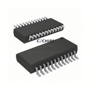 Nouvelle puce semi-conductrice IC C8051F802-GU SSOP-24 en stock d'origine CZSKU:M5R4A3Z0 - Product Image 1