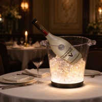 Seau à glace en acrylique LED avec glace artificielle, support de présentation de bouteille de vin avec logo personnalisé, glorificateur pour bar, boîte de nuit, restaurant