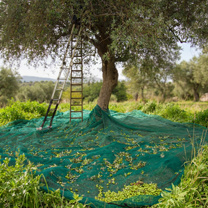 <span class=keywords><strong>Filet</strong></span> de récolte d'olives 100% neuf en PE avec protection UV, durable et respectueux de l'environnement - Product Image 1
