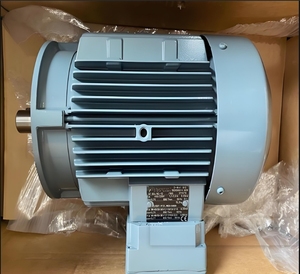 Moteur à induction triphasé AC ATB Motor Teco Regal Rexnord <span class=keywords><strong>Vem</strong></span> Marathon Leeson 7,5 kW 15 kW 30 kW 10 CV 20 CV 30 CV - Product Image 5