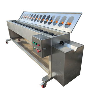 Éplucheur et laveuse de légumes automatique Éplucheuse de concombre - Product Image 4