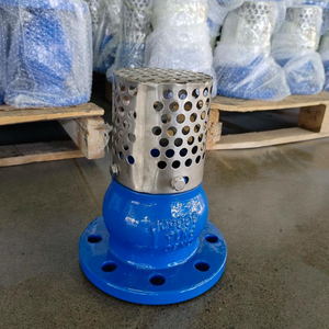 Vanne à pied robuste à <span class=keywords><strong>prix</strong></span> de gros avec filtre intégré, extrémité à bride, revêtement anti-corrosion, pour pompes - Product Image 6