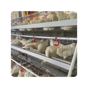 Cage à poulets galvanisée avec 4 étages Cage pour poules Cage commerciale pour poules pondeuses pour ferme avicole